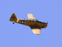 bar_4844